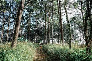 BIB: 
                            <button type="button" onclick="openModal(25657507)" class="btn btn-primary btn-sm float-right btn-popup" data-toggle="modal" data-target=".modal-high-quality">
                        <i class="fas fa-shopping-cart"></i> Add to Cart
                    </button>
                                            <button type="button" onclick="isThisMe(25657507, true)" class="btn btn-success btn-sm float-right btn-popup btn-isme hidden" data-toggle="tooltip" data-placement="bottom" title="นี่คือรูปของคุณใช่ไหม คลิกที่นี่เพื่อเอาเข้าอัลบั้ม">
                        <i class="fas fa-plus"></i> Add to album
                    </button>
                    <button type="button" onclick="isThisMe(25657507, false)" class="btn btn-warning btn-sm float-right btn-popup btn-isnotme hidden">
                        <i class="fas fa-ban"></i> Remove from album
                    </button>